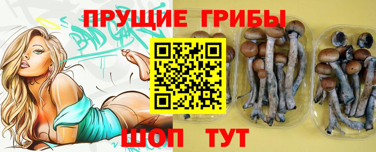 купить закладку  Вход с VPN  Великий Устюг  Псилоцибиновые грибы мухоморы 