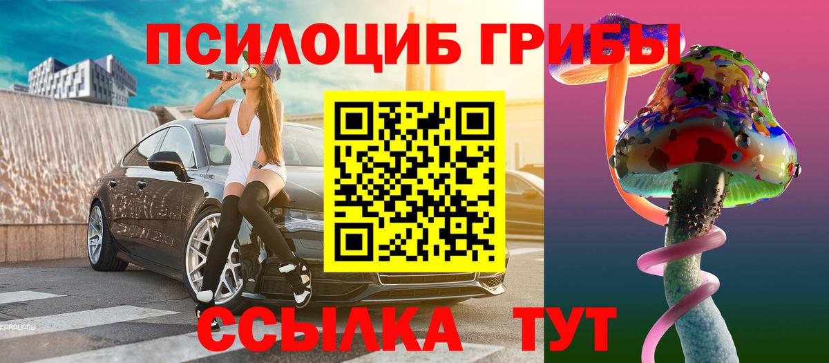 Галлюциногенные грибы Cubensis Великий Устюг
